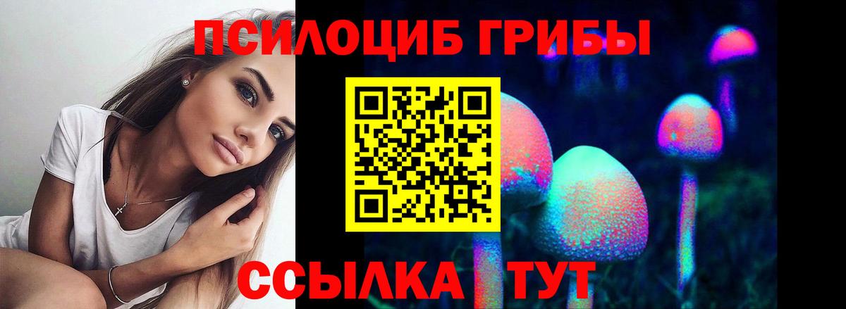 Галлюциногенные грибы ЛСД Озёрск