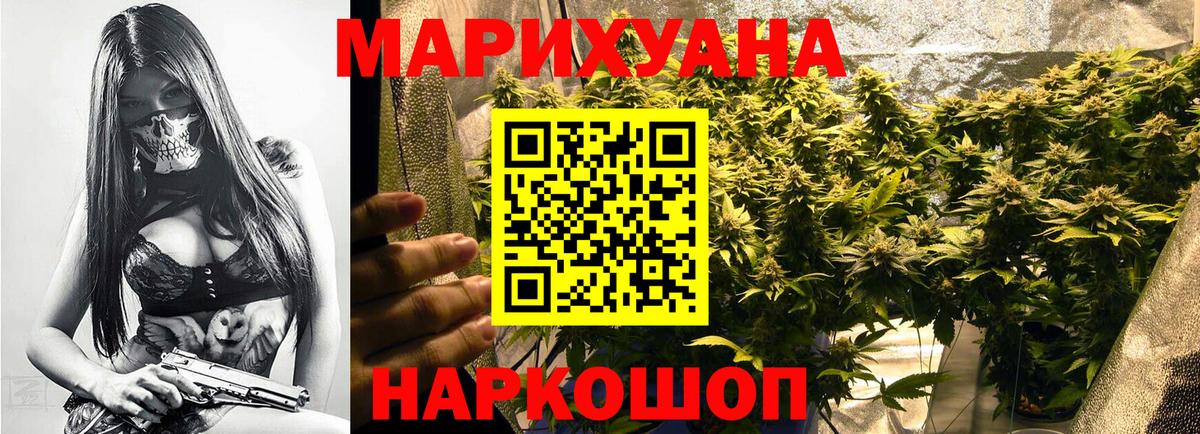 Канабис планчик Озёрск